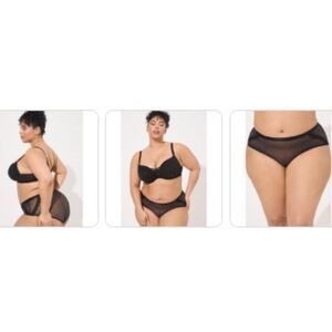 Torrid NWTs Dot Mesh Mid Rise Cheeky Panty Corydalis Blue & Black size 6x 30